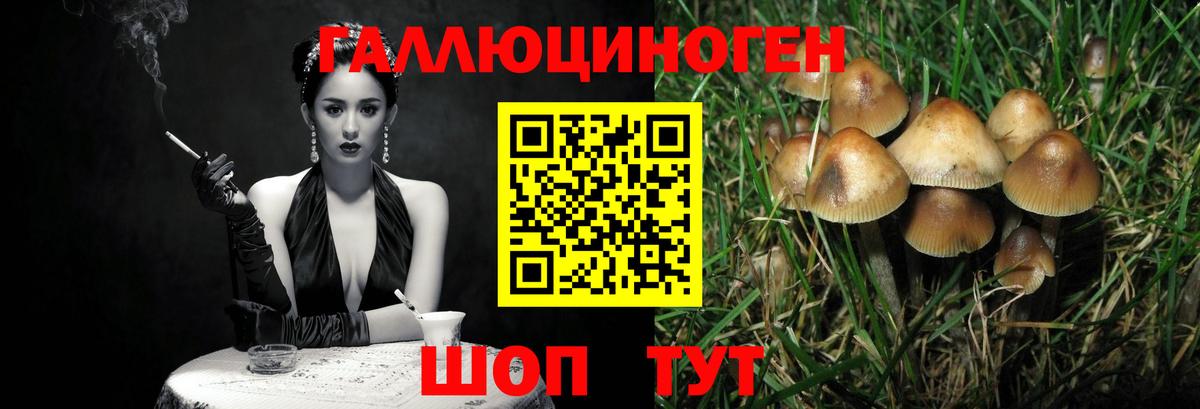 Псилоцибиновые грибы прущие грибы  Вход с VPN  закладка  Троицк 